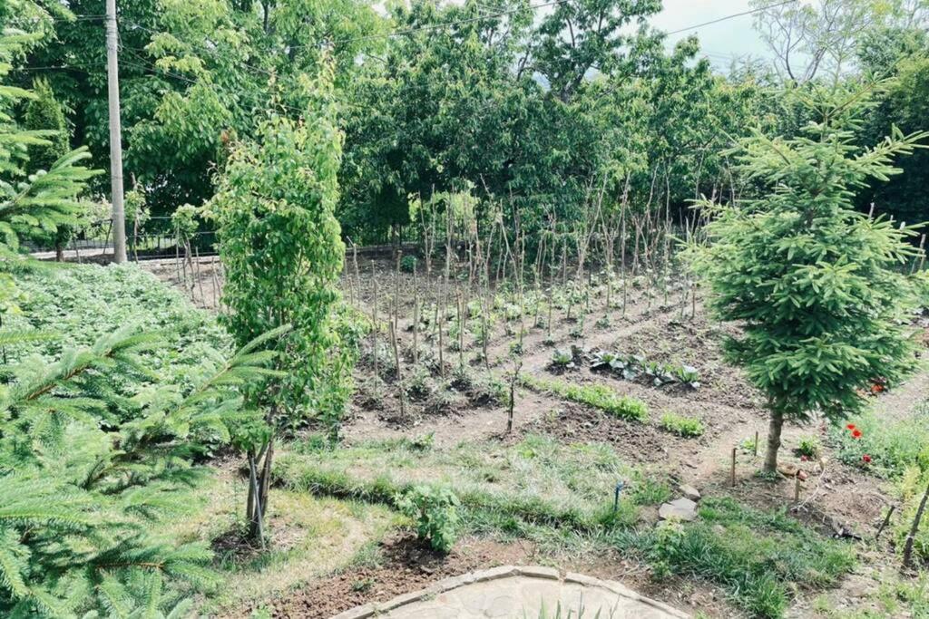 Bujtina Cakuli, Rehove - Erseke Villa Bagian luar foto
