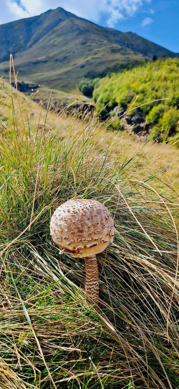 Bujtina Cakuli, Rehove - Erseke Villa Bagian luar foto