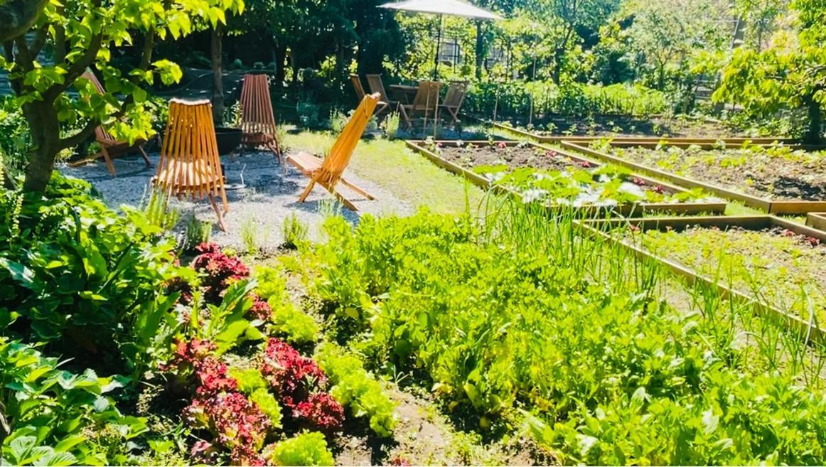 Bujtina Cakuli, Rehove - Erseke Villa Bagian luar foto